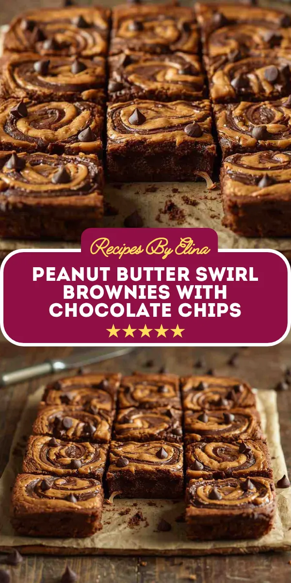 Peanut Butter Swirl Brownies with Chocolate Chips